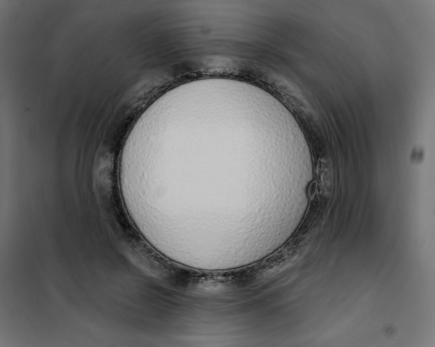 X0000101400550200807281004