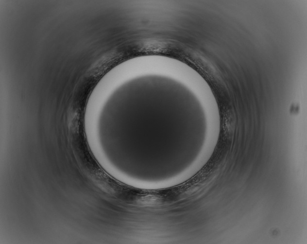 X0000101400551200807281004