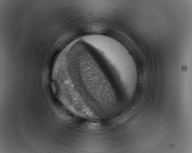 X0000101400552200807281004