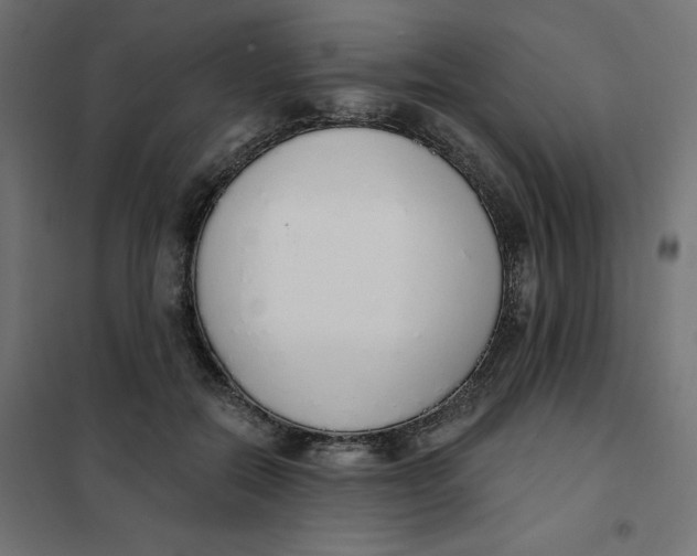 X0000101400554200807281004