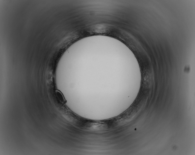 X0000101400555200807281004