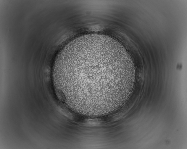 X0000101400556200807281004