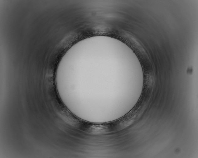 X0000101400557200807281004