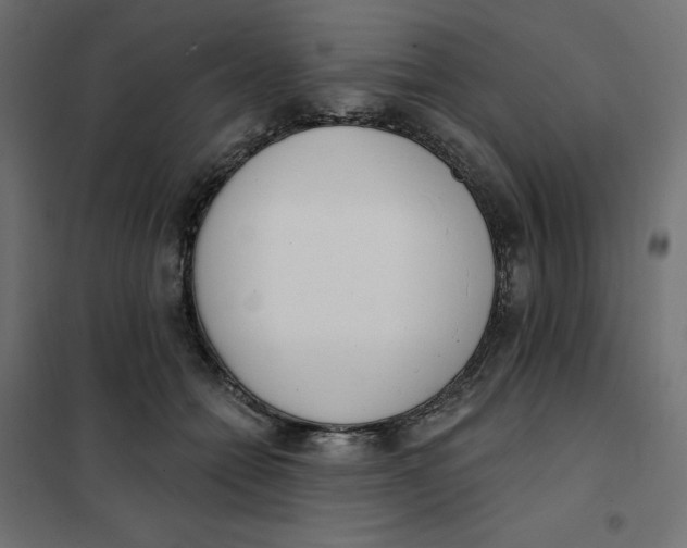 X0000101400558200807281004