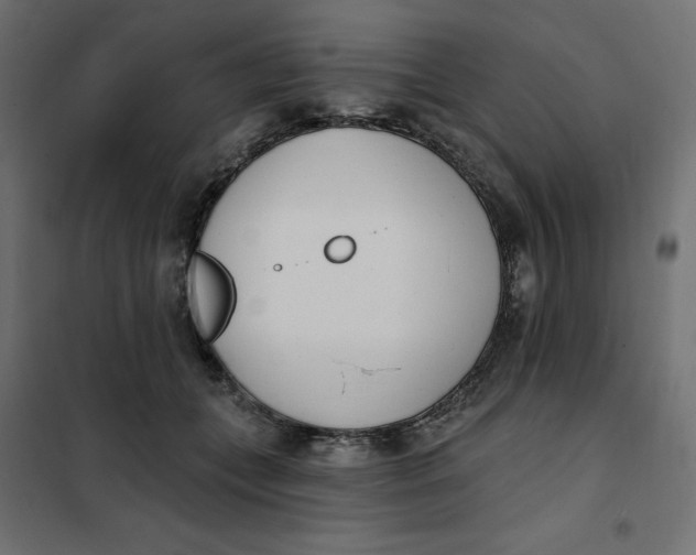 X0000101400559200807281004