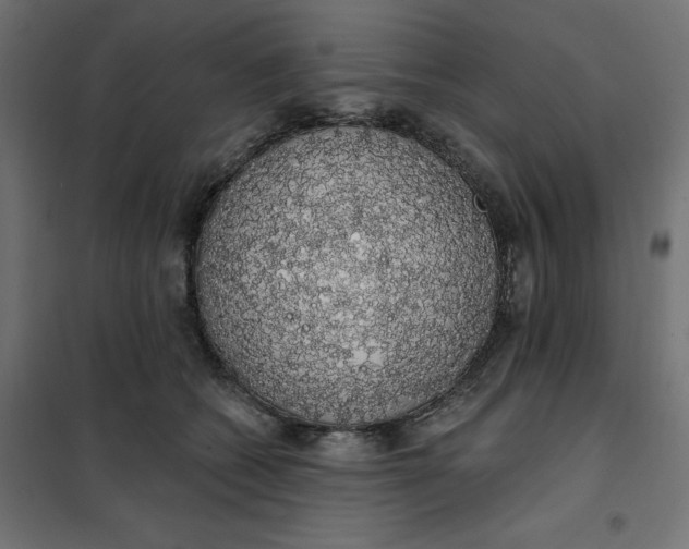 X0000101400562200807281005