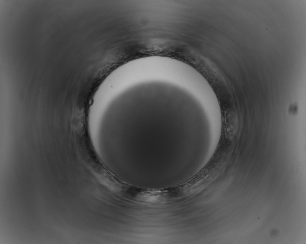 X0000101400563200807281005