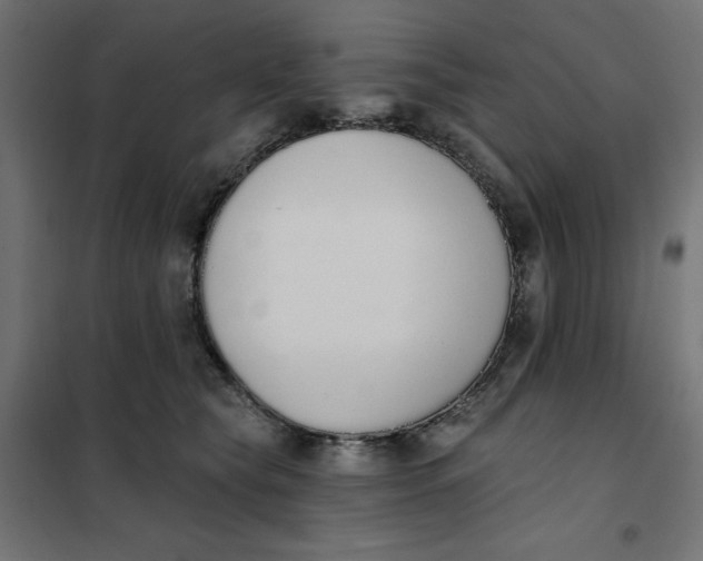 X0000101400565200807281005