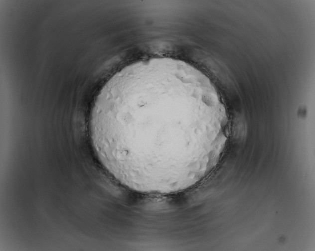 X0000101400569200807281005