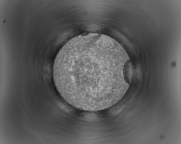 X0000101400572200807281005