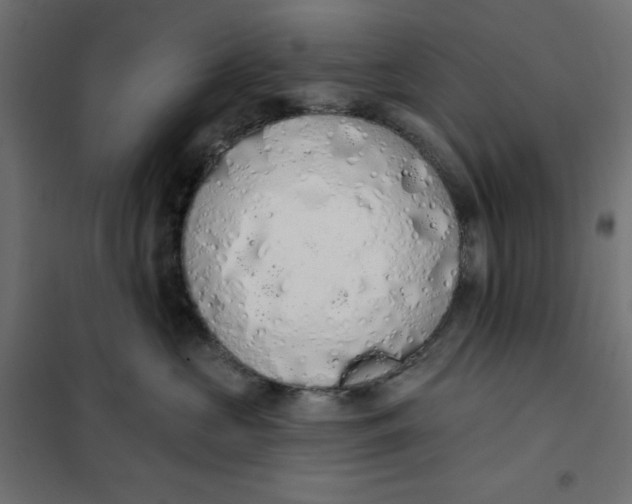 X0000101400573200807281005