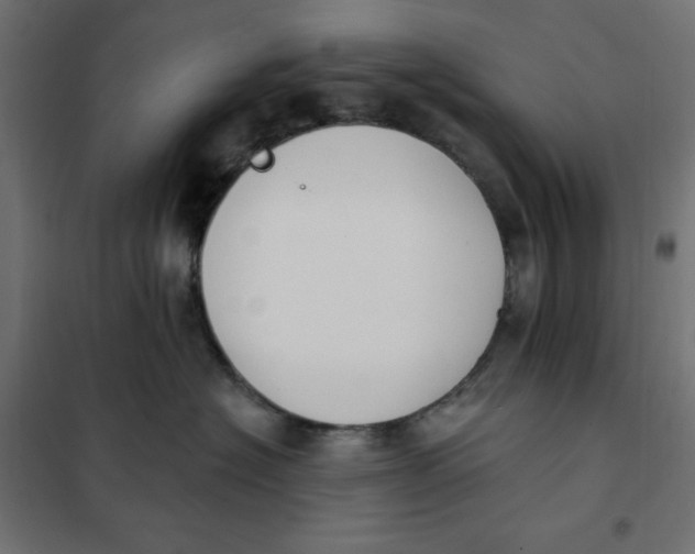 X0000101400574200807281005