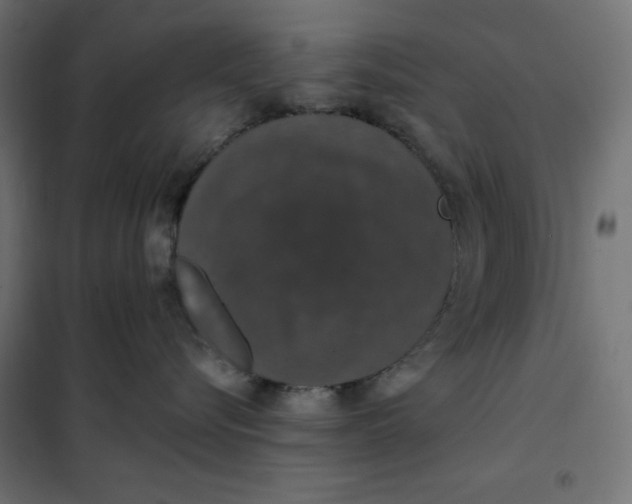 X0000101400576200807281005