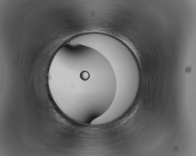 X0000101400577200807281004