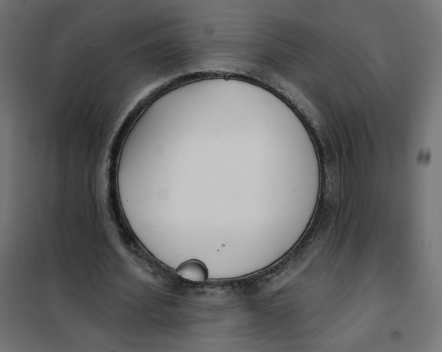 X0000101400580200807281004