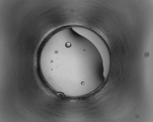 X0000101400584200807281004