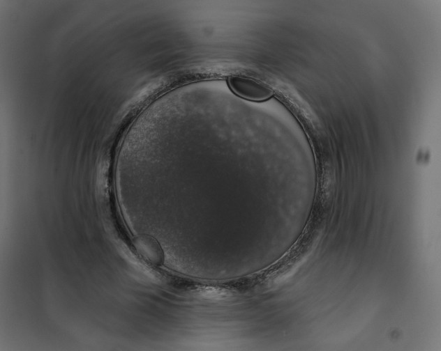 X0000101400585200807281004