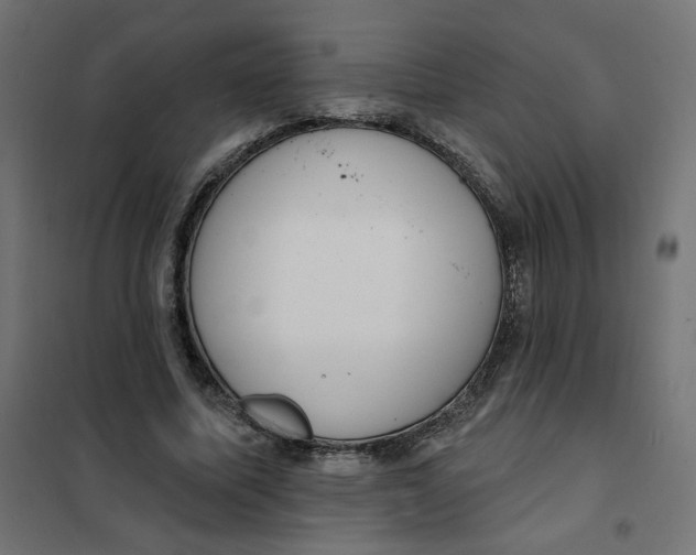 X0000101400587200807281004