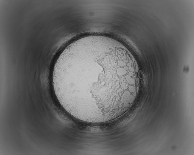 X0000101400588200807281004