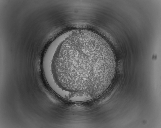 X0000101400589200807281004