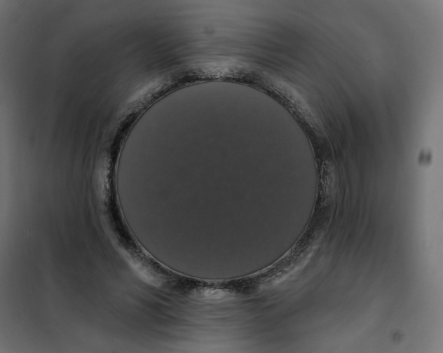 X0000101400590200807281004