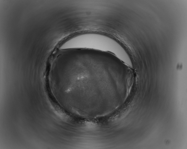 X0000101400592200807281004