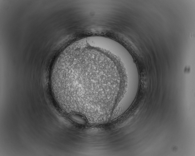 X0000101400593200807281004