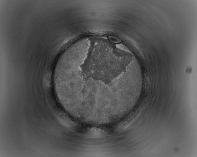 X0000101400596200807281004