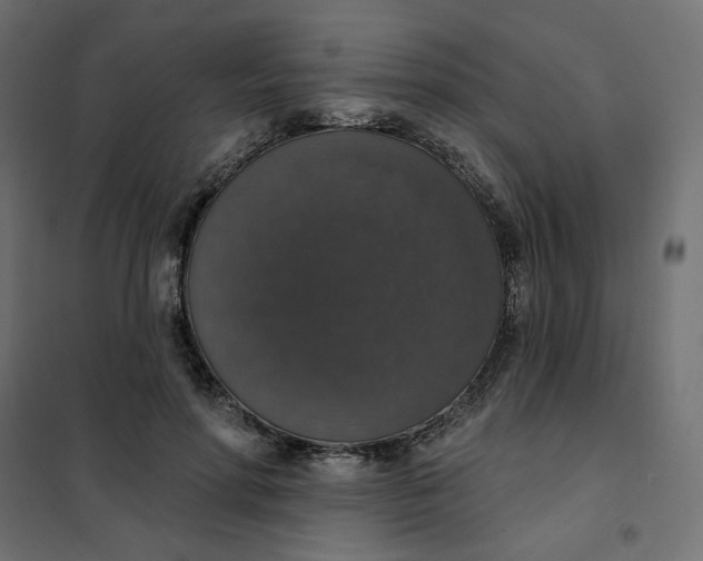 X0000101400598200807281004