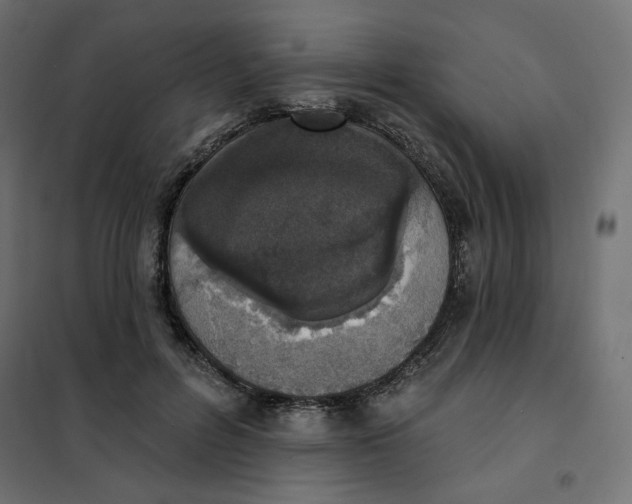 X0000101400600200807281004