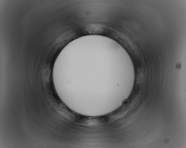 X0000101400604200807281004