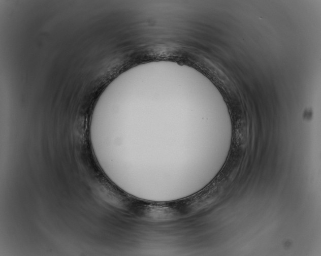 X0000101400605200807281003