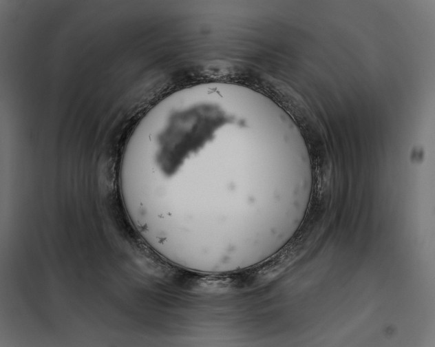 X0000101400606200807281003