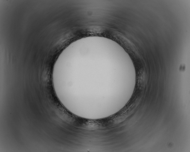 X0000101400608200807281003