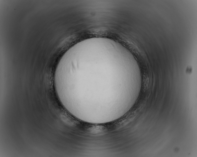 X0000101400609200807281003