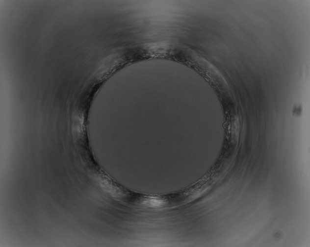 X0000101400610200807281003