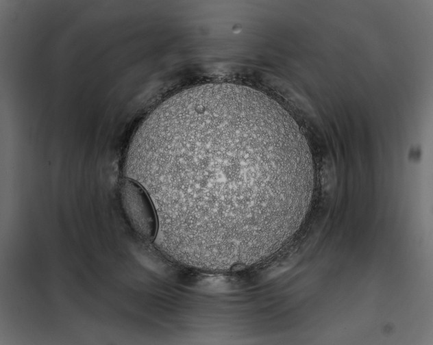 X0000101400611200807281003