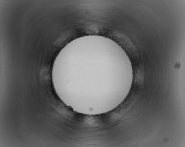 X0000101400616200807281003