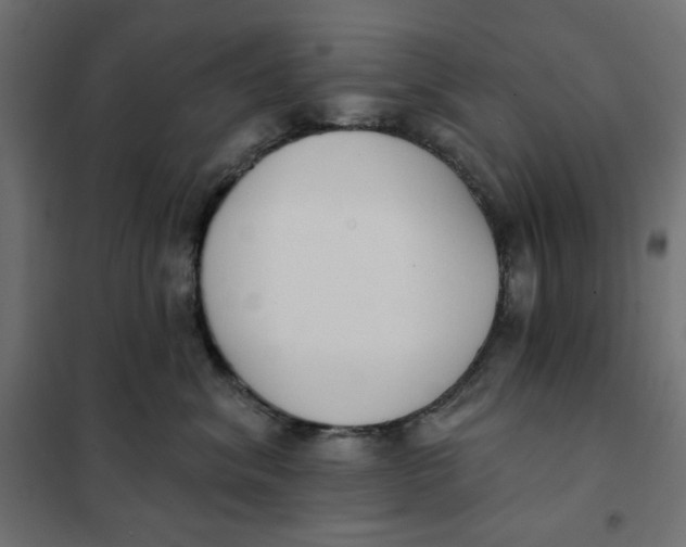 X0000101400620200807281003