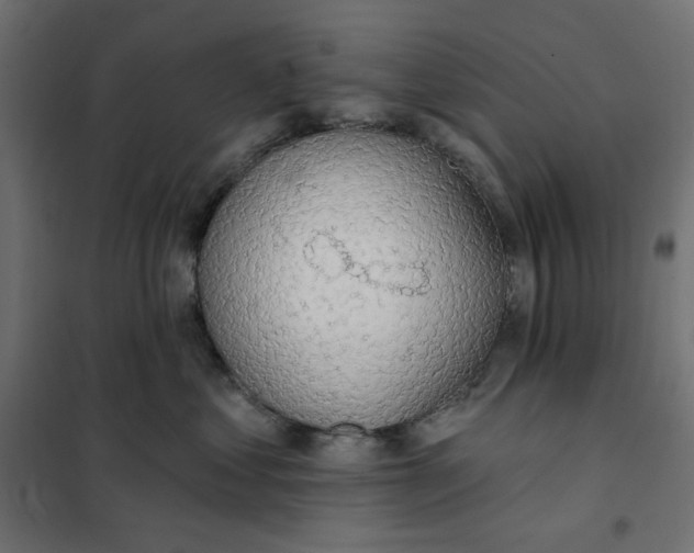 X0000101400621200807281003