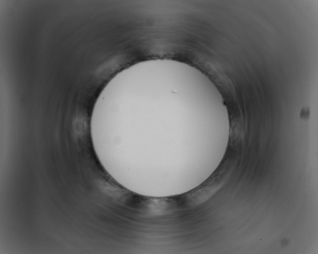 X0000101400623200807281003