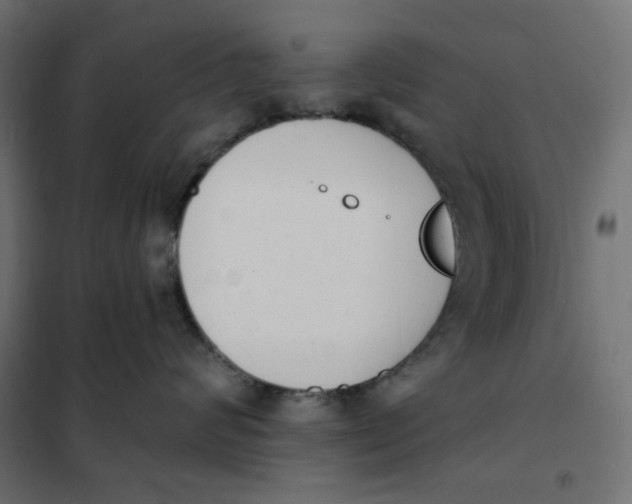 X0000101400624200807281003