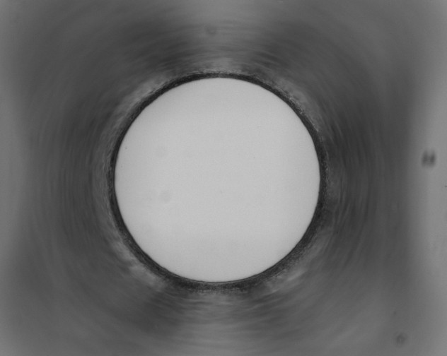 X0000101400625200807281002