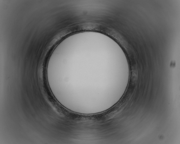 X0000101400626200807281002