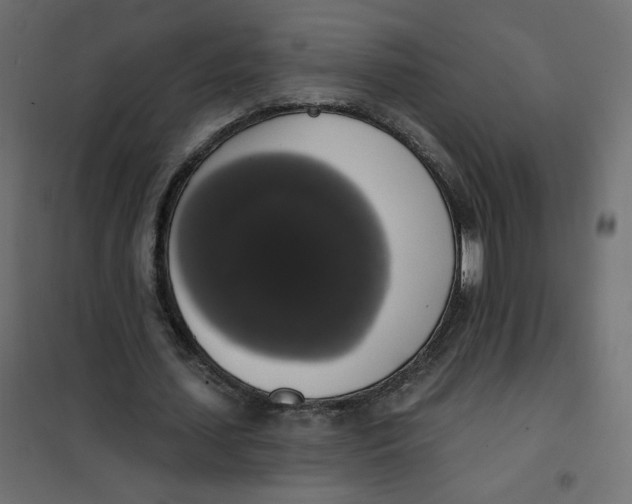 X0000101400627200807281002