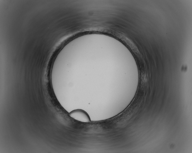 X0000101400628200807281002