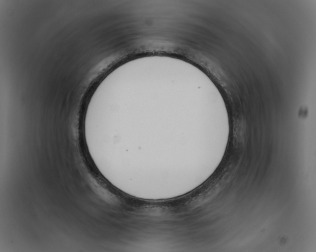 X0000101400629200807281002