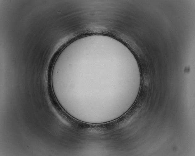 X0000101400630200807281003