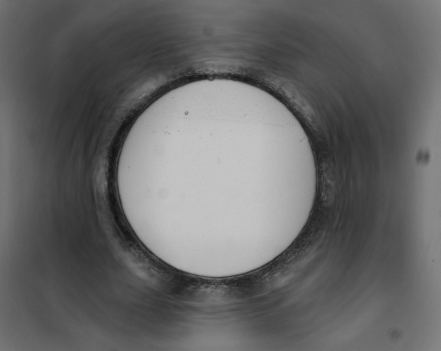 X0000101400631200807281003