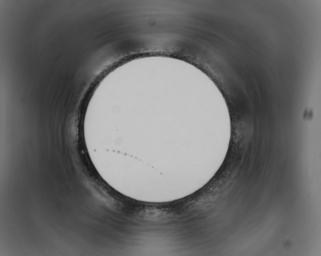 X0000101400632200807281003